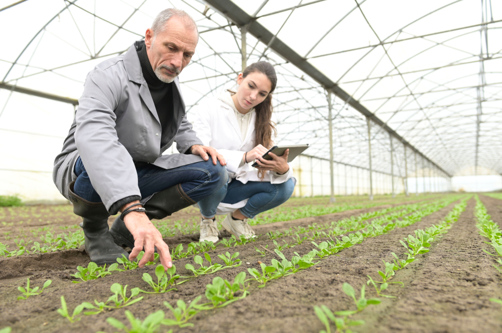 hybride professionals in het groen