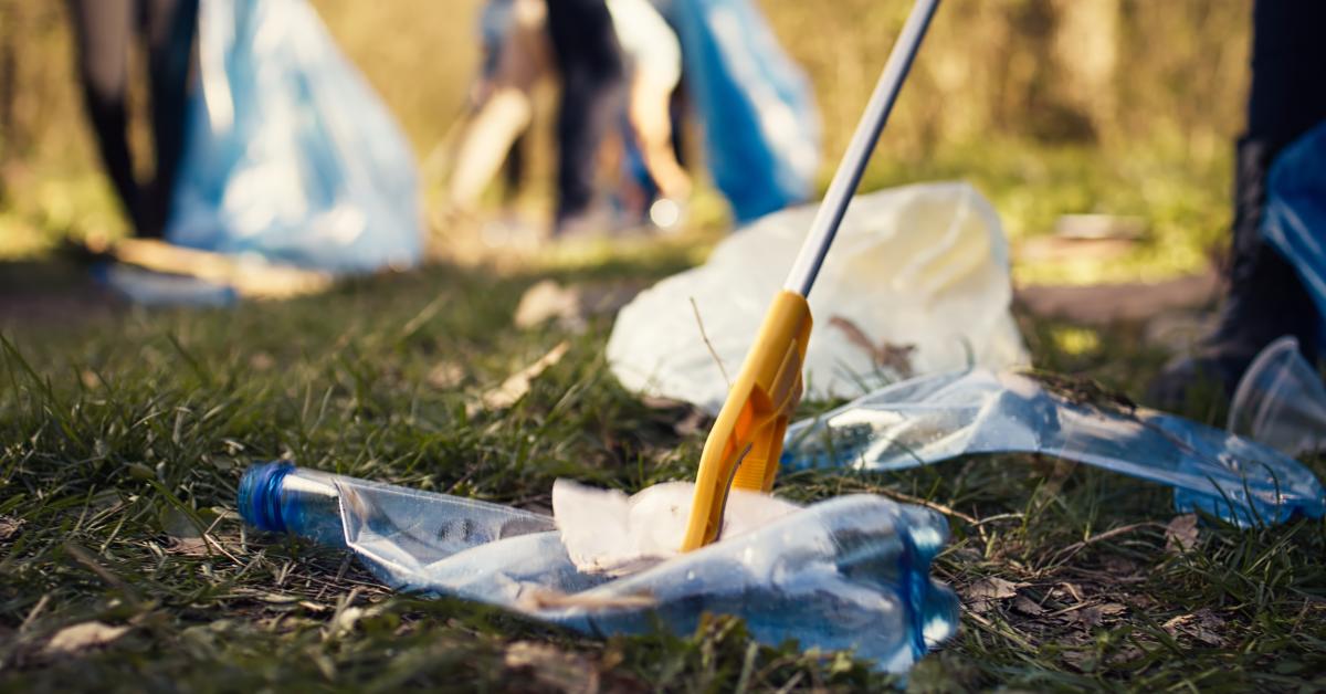 Trash Walk | The Hague University of Applied Sciences